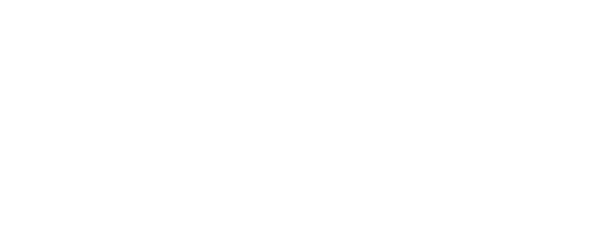 Celonis logo